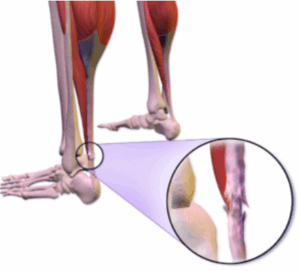 Clinic4Sport reviews