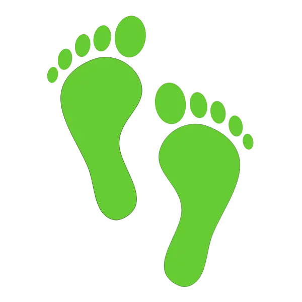 Footscan Analysis - Clinic4sports